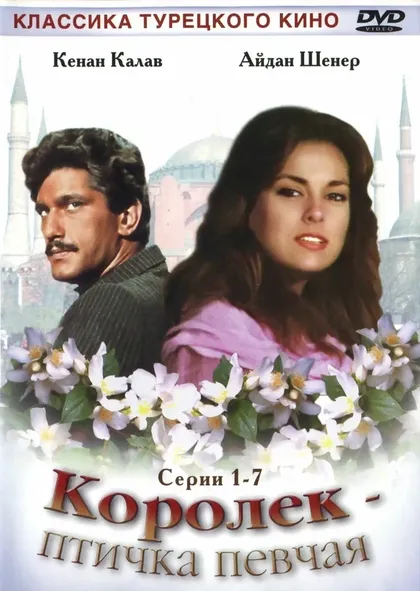 Садри Алышык