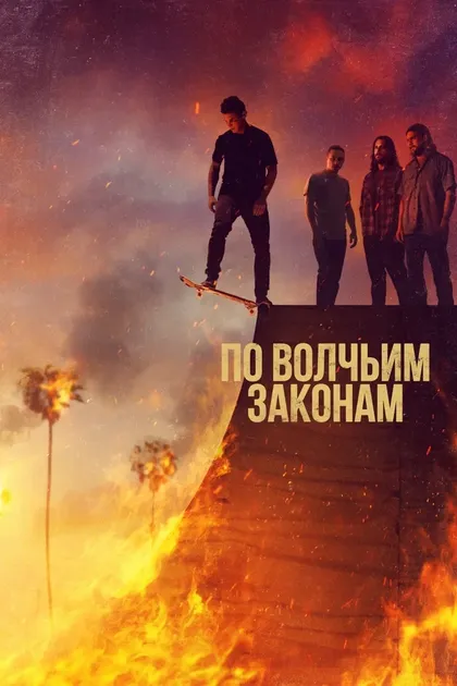 Эллен Баркин